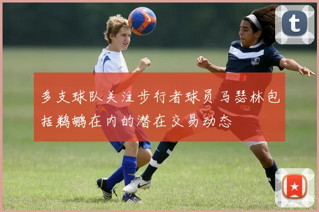 多支球队关注步行者球员马瑟林包括鹈鹕在内的潜在交易动态