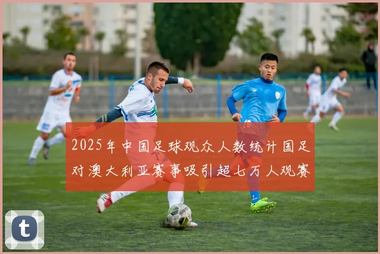 2025年中国足球观众人数统计国足对澳大利亚赛事吸引超七万人观赛