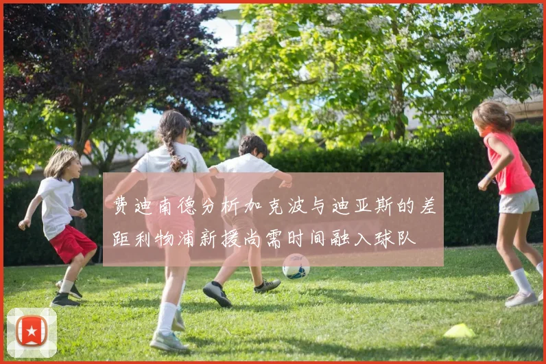 费迪南德分析加克波与迪亚斯的差距利物浦新援尚需时间融入球队
