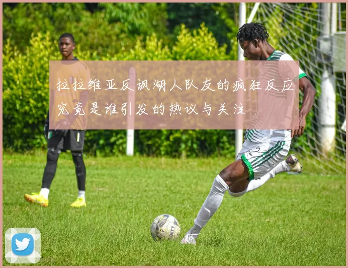 拉拉维亚反讽湖人队友的疯狂反应究竟是谁引发的热议与关注